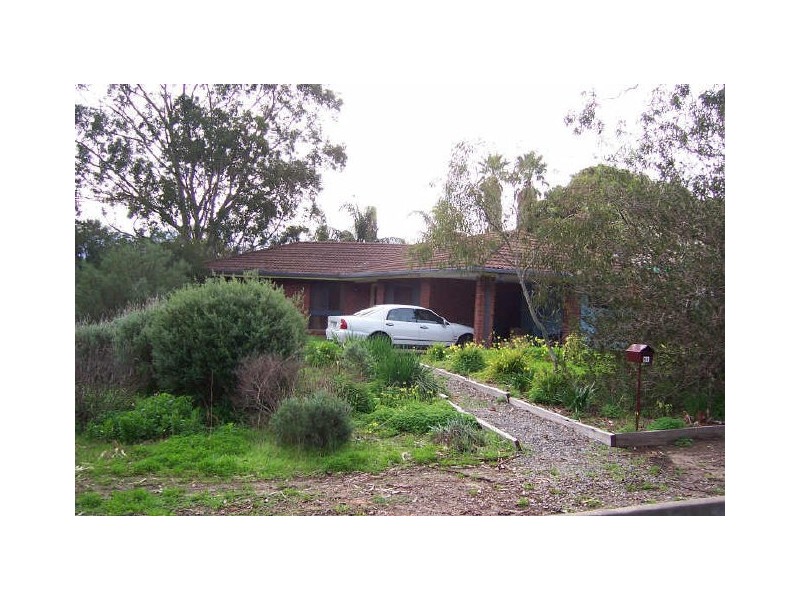 51 Pine Drive, Aberfoyle Park SA 5159