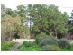 51 Pine Drive, Aberfoyle Park SA 5159