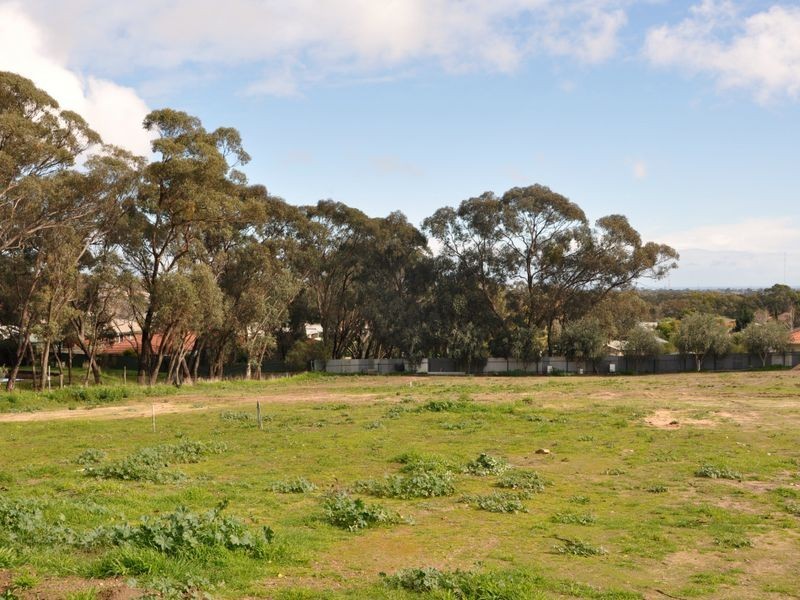 Lot 704 Conaghty Court, Woodcroft SA 5162