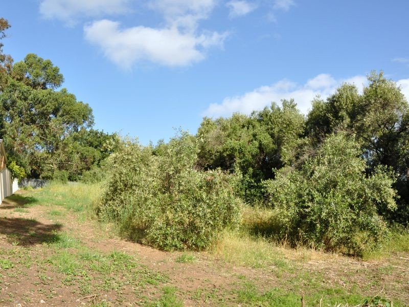 8 Boxwood Road, O’halloran Hill SA 5158