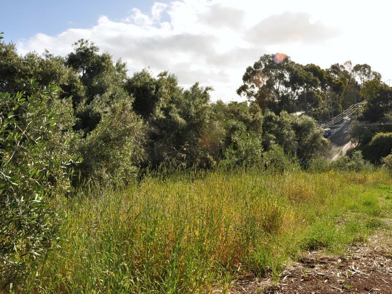 8 Boxwood Road, O’halloran Hill SA 5158