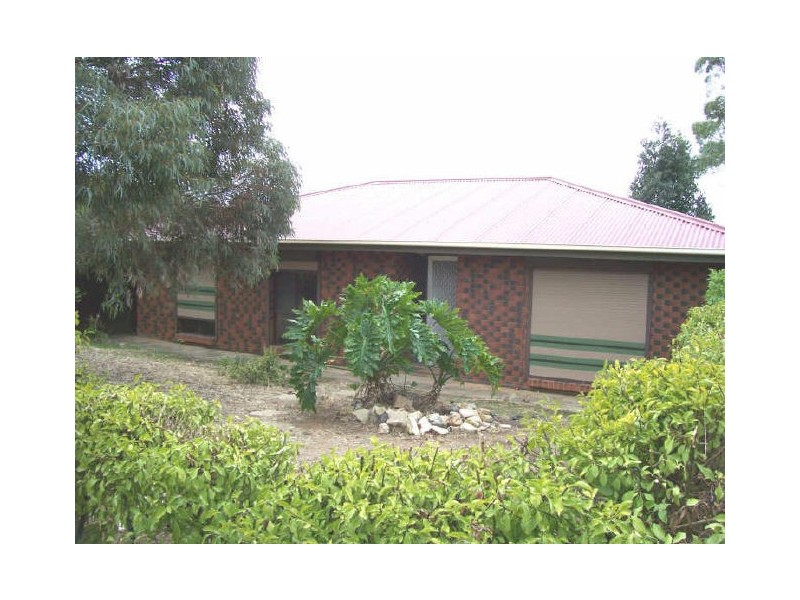33 Doctors Road, Morphett Vale SA 5162