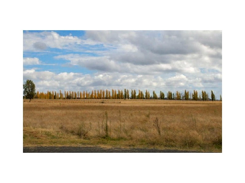 Par 4 Estate/ Golf Links Road, Glen Innes NSW 2370