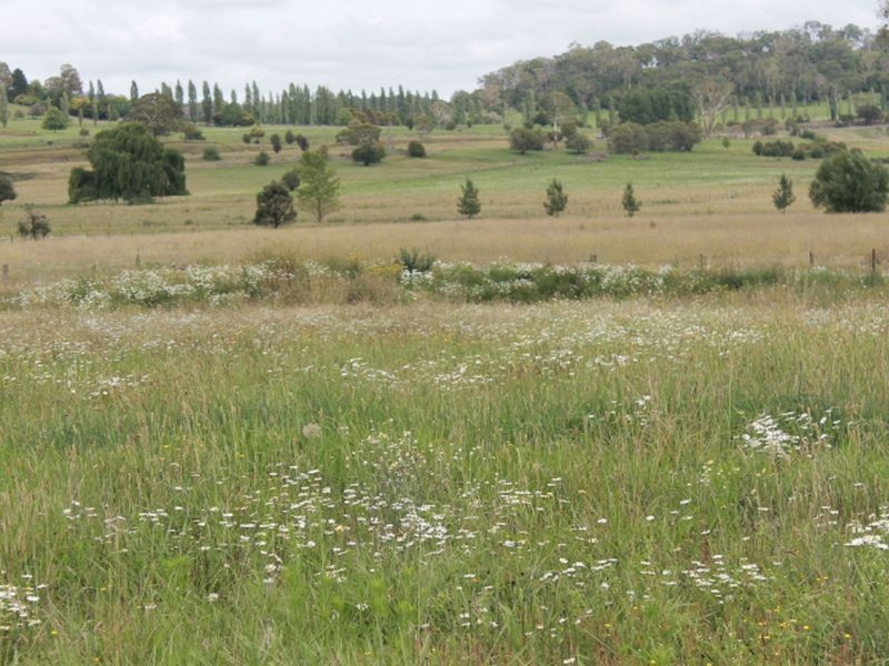 87 East Pandora Rd, Glen Innes NSW 2370