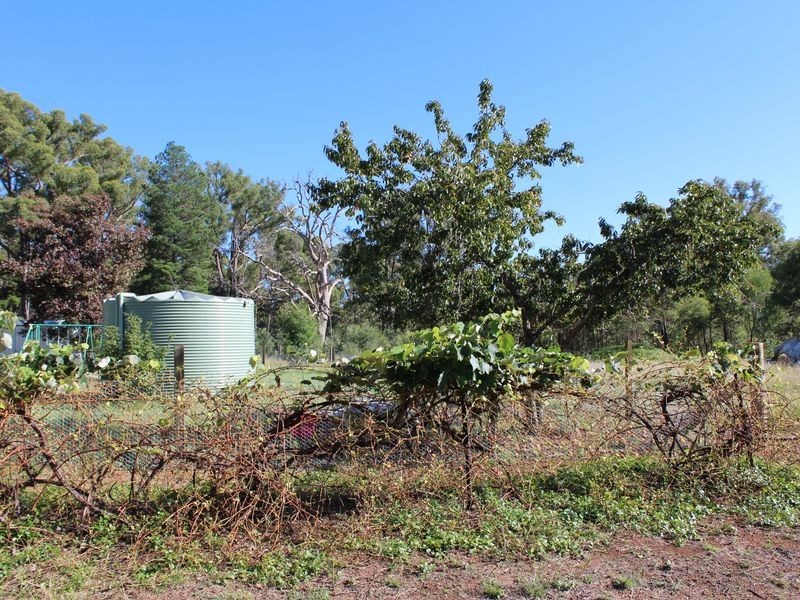 5327 Strathbogie Road, Emmaville NSW 2371