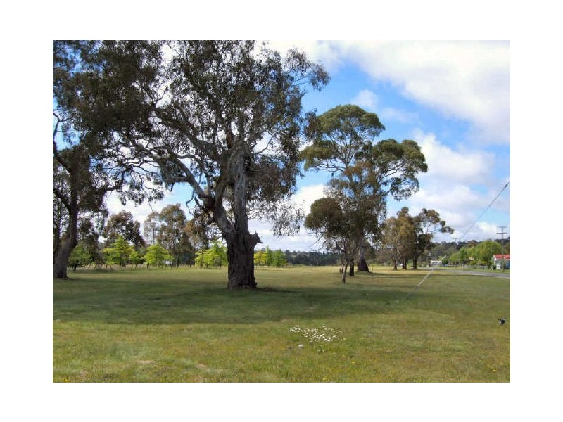 Abbott Street, Glen Innes NSW 2370