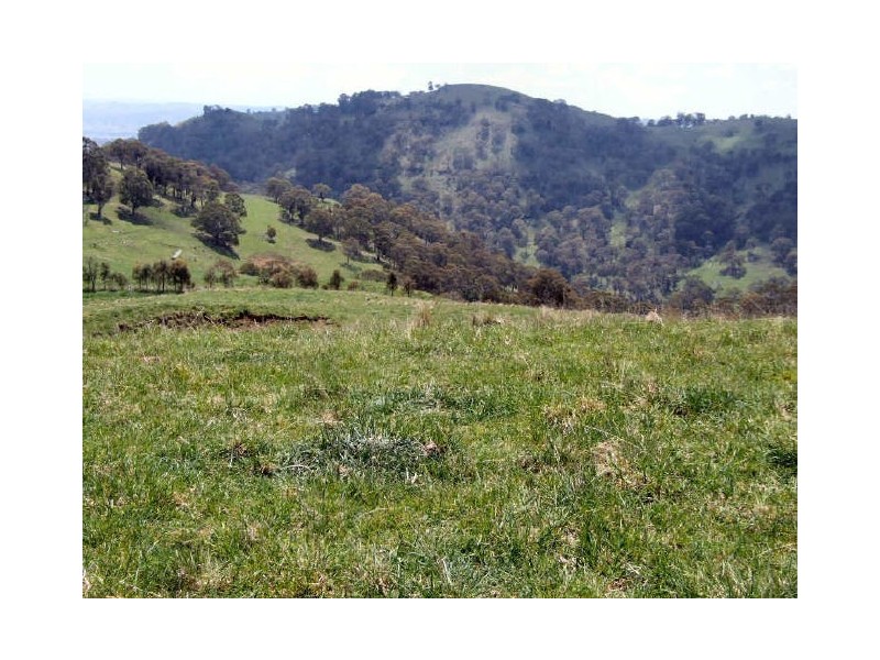 Eden Brae/122 Kellys Road, Ben Lomond NSW 2365