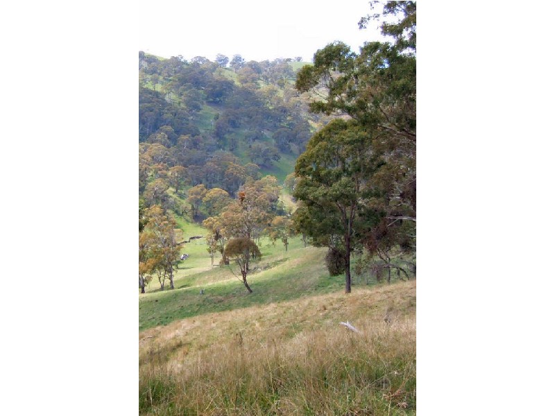 Eden Brae/122 Kellys Road, Ben Lomond NSW 2365