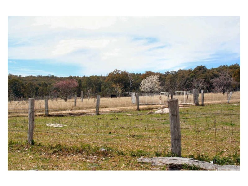 Bonnay – Linton Road Bundarra, Glen Innes NSW 2370