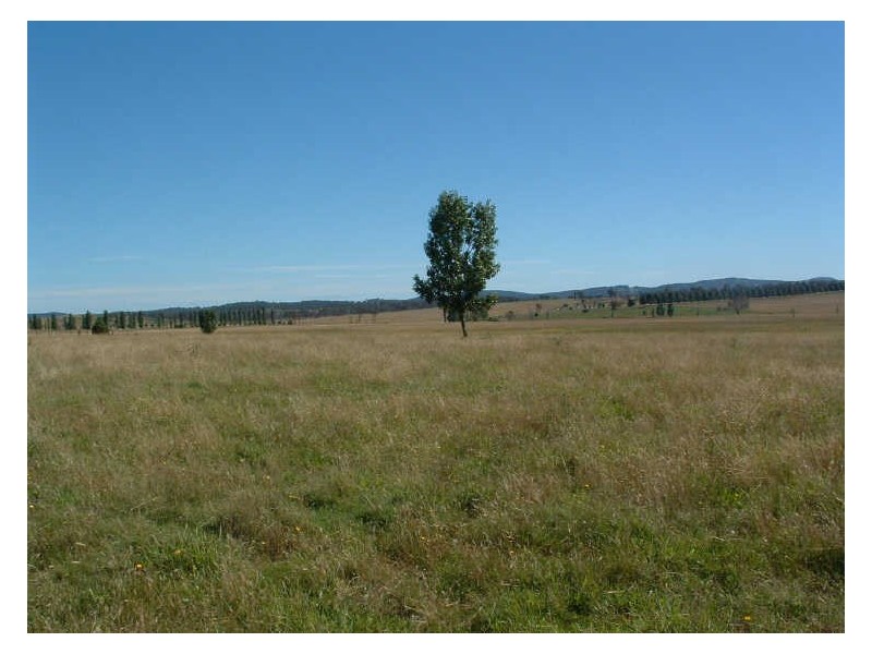Lot 6 Golf Links Road, Glen Innes NSW 2370
