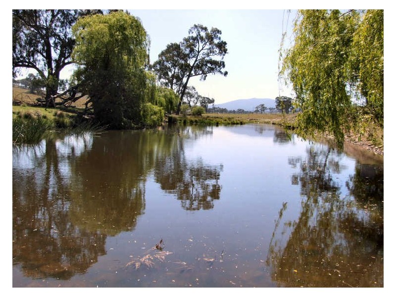 The Cottag New England Highway, Deepwater NSW 2371