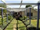 The Cottag New England Highway, Deepwater NSW 2371