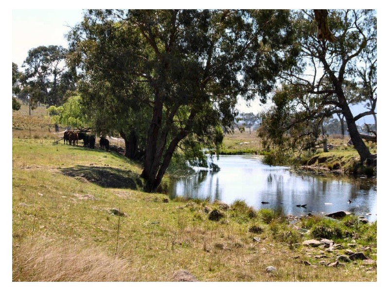 The Cottag New England Highway, Deepwater NSW 2371