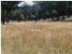 Glen Innes NSW 2370