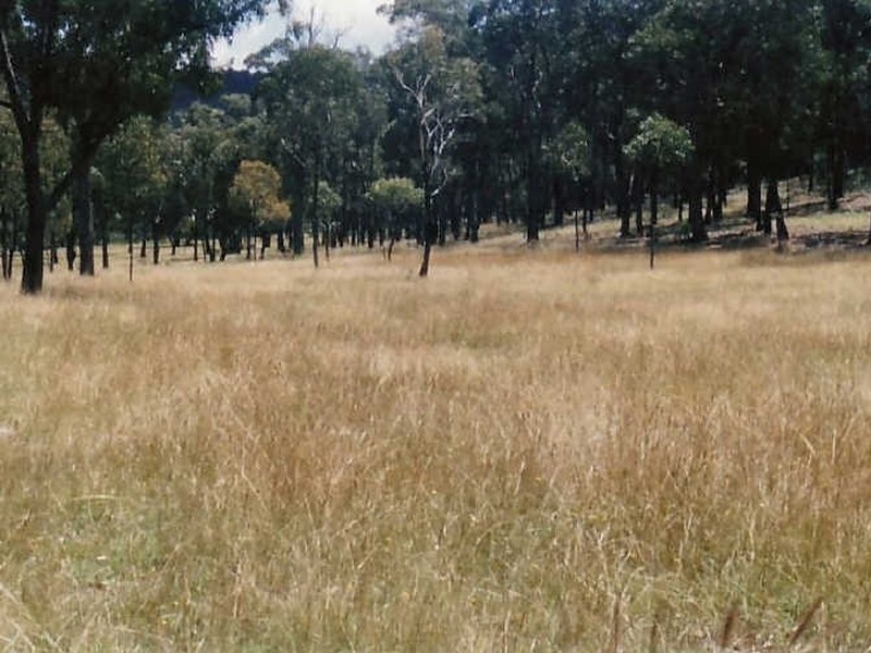 Glen Innes NSW 2370