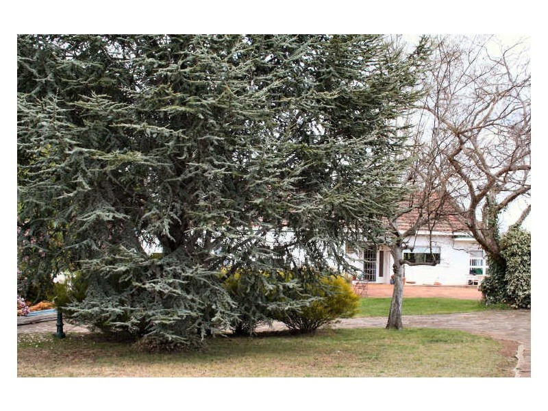 15 Margaret Street, Glen Innes NSW 2370