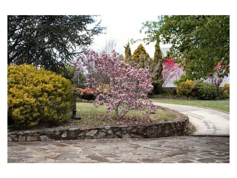 15 Margaret Street, Glen Innes NSW 2370