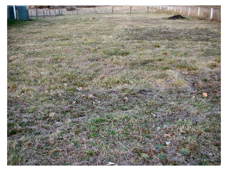 421 Grey Street, Glen Innes NSW 2370