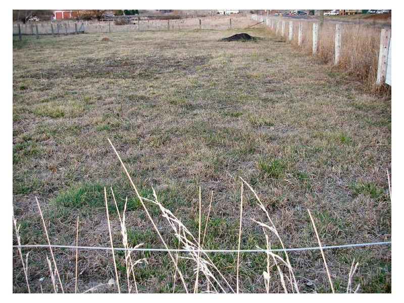 421 Grey Street, Glen Innes NSW 2370