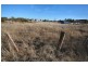 5 Camp Street, Glencoe NSW 2365