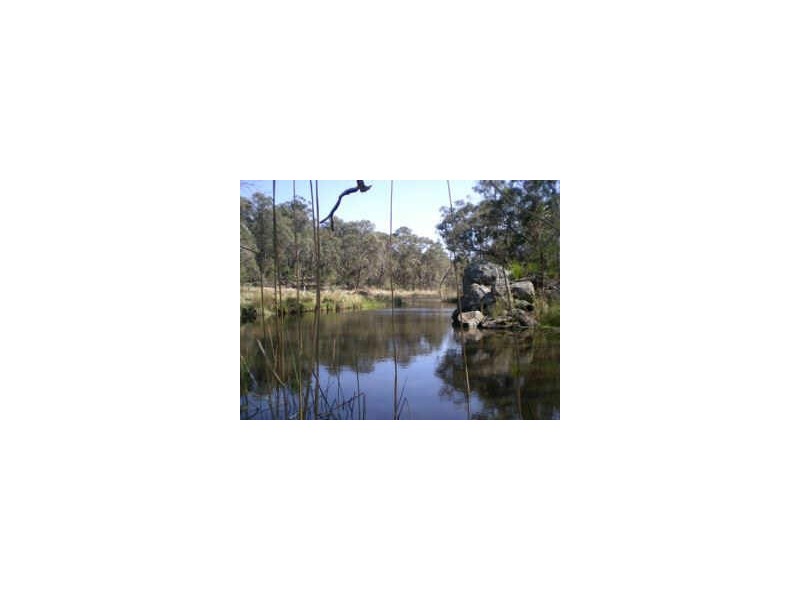 Lot 5 Mountain View Estate, Glen Elgin, Glen Innes NSW 2370