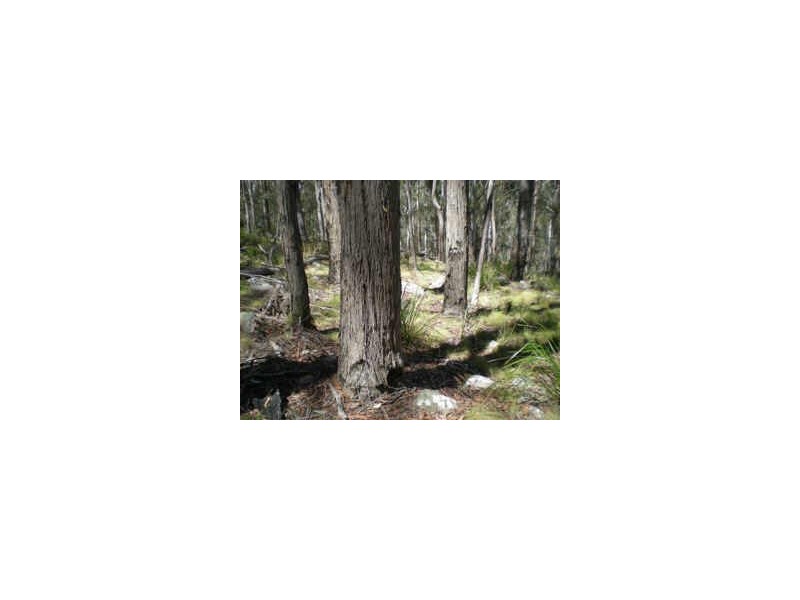 Lot 5 Mountain View Estate, Glen Elgin, Glen Innes NSW 2370