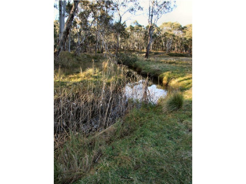 Lot 5 Mountain View Estate, Glen Elgin, Glen Innes NSW 2370