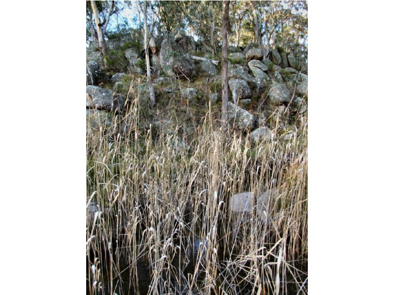 Lot 5 Mountain View Estate, Glen Elgin, Glen Innes NSW 2370