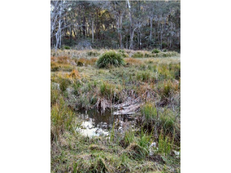 Lot 5 Mountain View Estate, Glen Elgin, Glen Innes NSW 2370