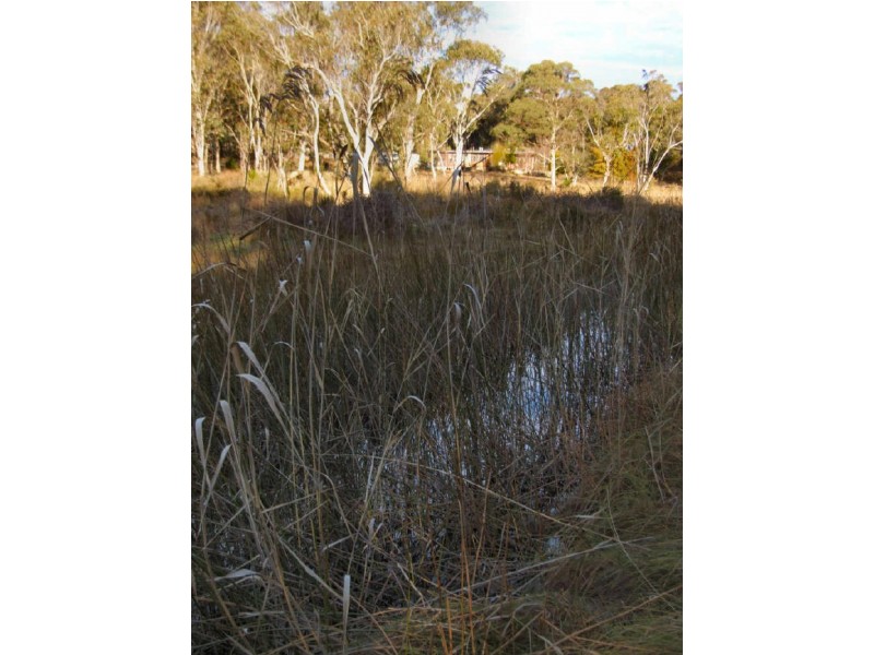 Lot 5 Mountain View Estate, Glen Elgin, Glen Innes NSW 2370