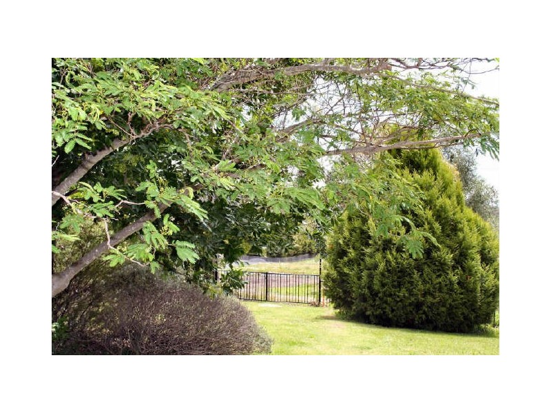 Glen Innes NSW 2370
