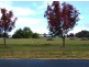 Glen Innes NSW 2370