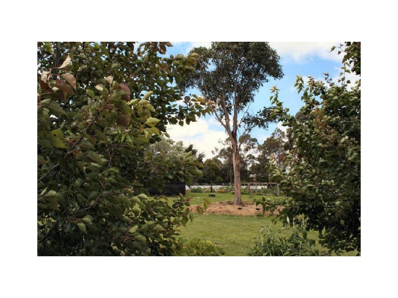 Neweys Land, Deepwater NSW 2371