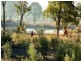 Emmaville NSW 2371