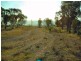 Emmaville NSW 2371