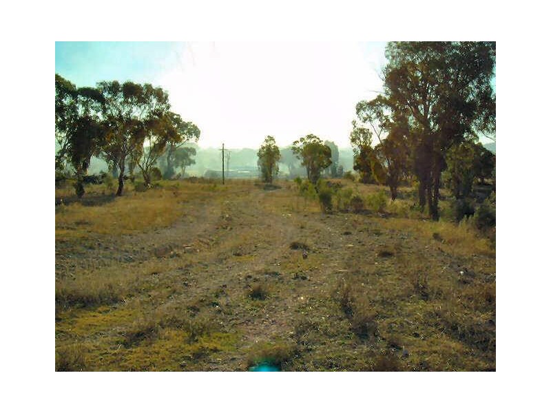 Emmaville NSW 2371