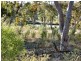 Emmaville NSW 2371