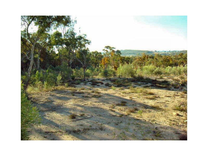 Emmaville NSW 2371
