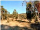 Emmaville NSW 2371