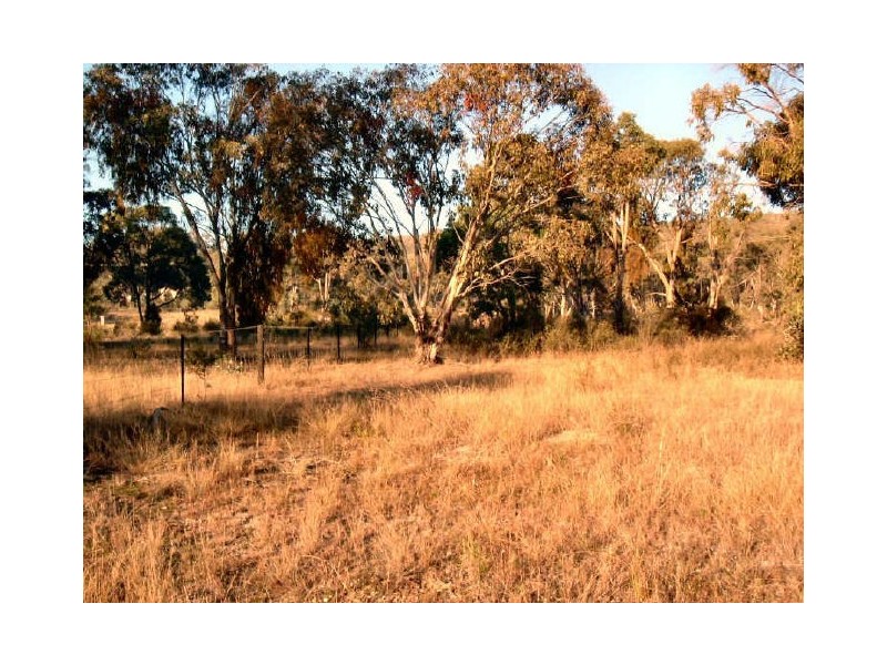 Emmaville NSW 2371