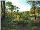 Emmaville NSW 2371