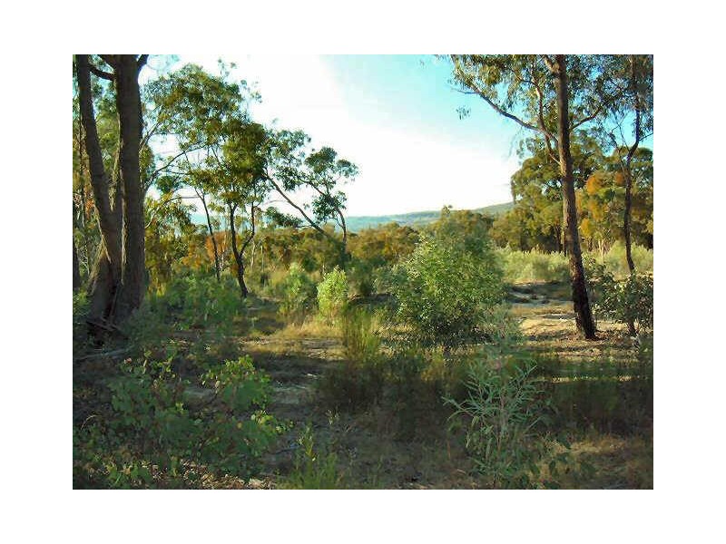 Emmaville NSW 2371