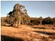 Emmaville NSW 2371