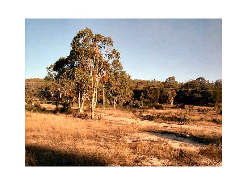 Emmaville NSW 2371