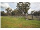Emmaville Road Ashford, Glen Innes NSW 2370