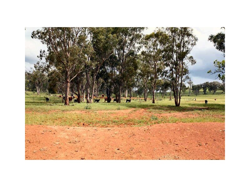 Emmaville Road Ashford, Glen Innes NSW 2370