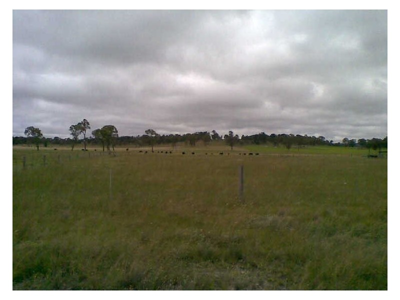 Dundee NSW 2370