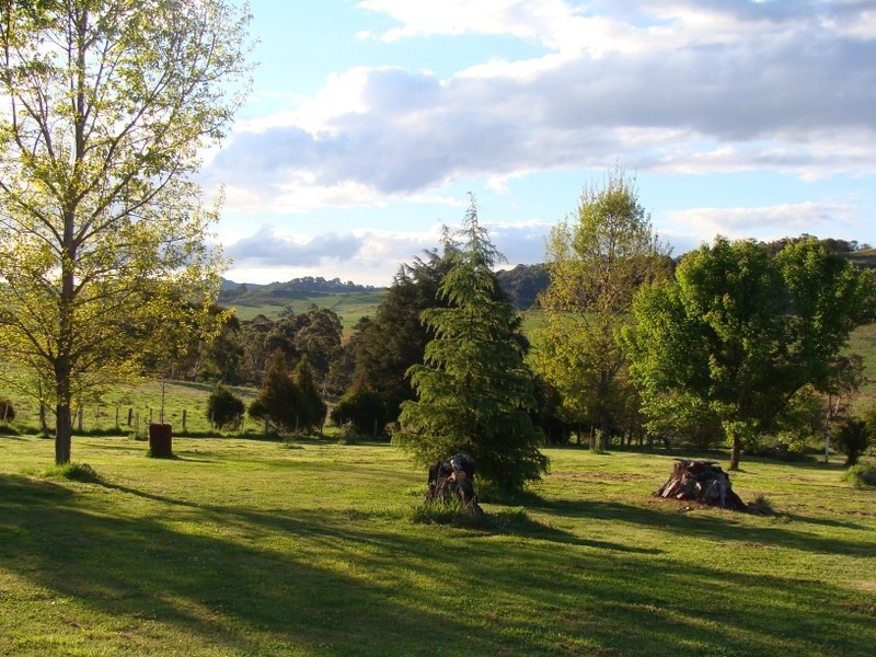 Amos Park Kookabookra, Glen Innes NSW 2370
