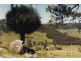 Glencoe NSW 2365