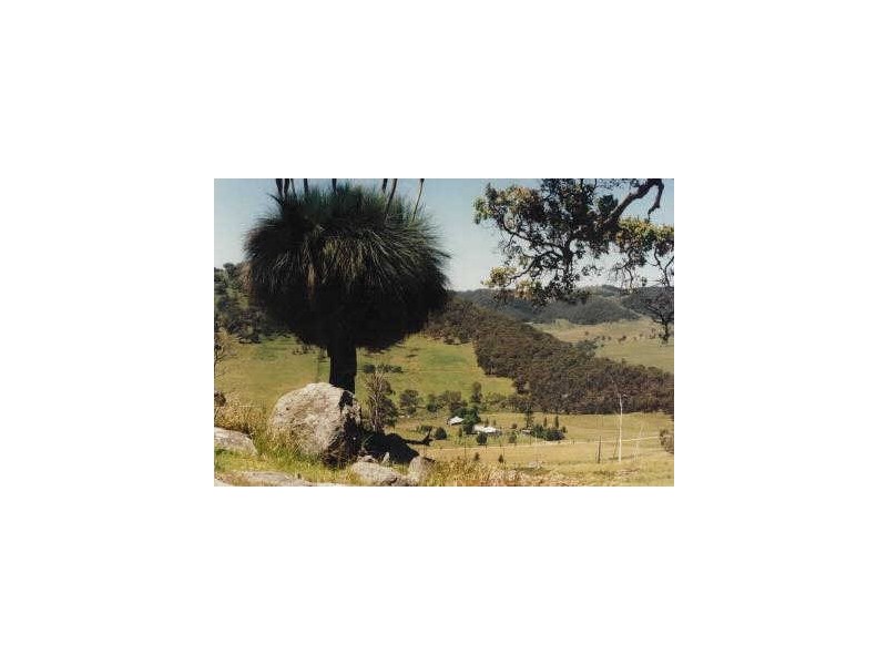 Glencoe NSW 2365